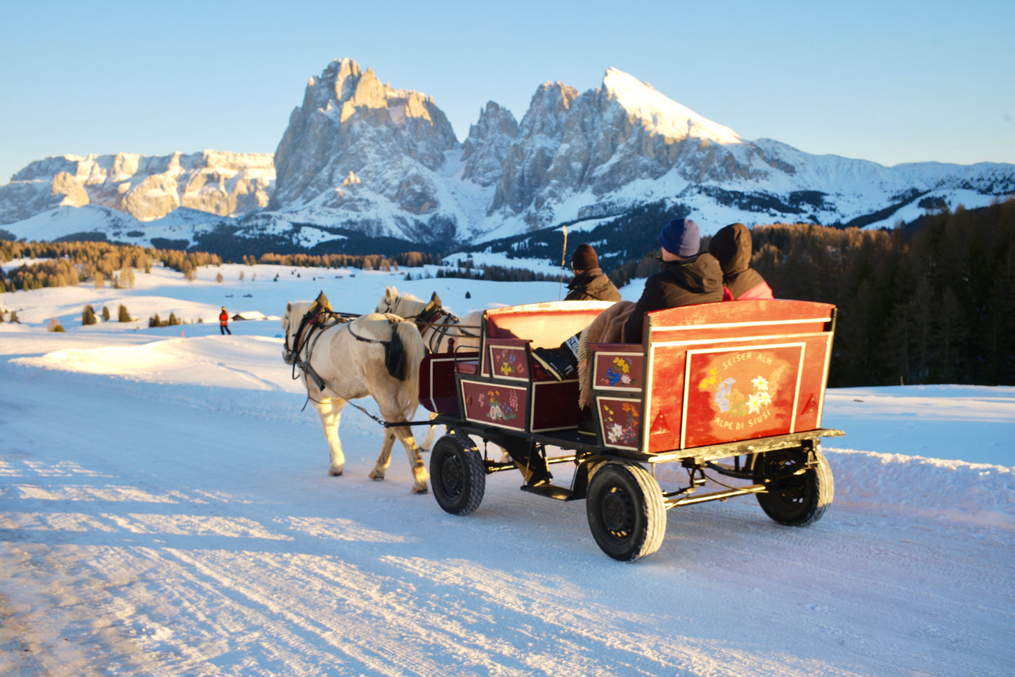 Carriage in the Dolomites