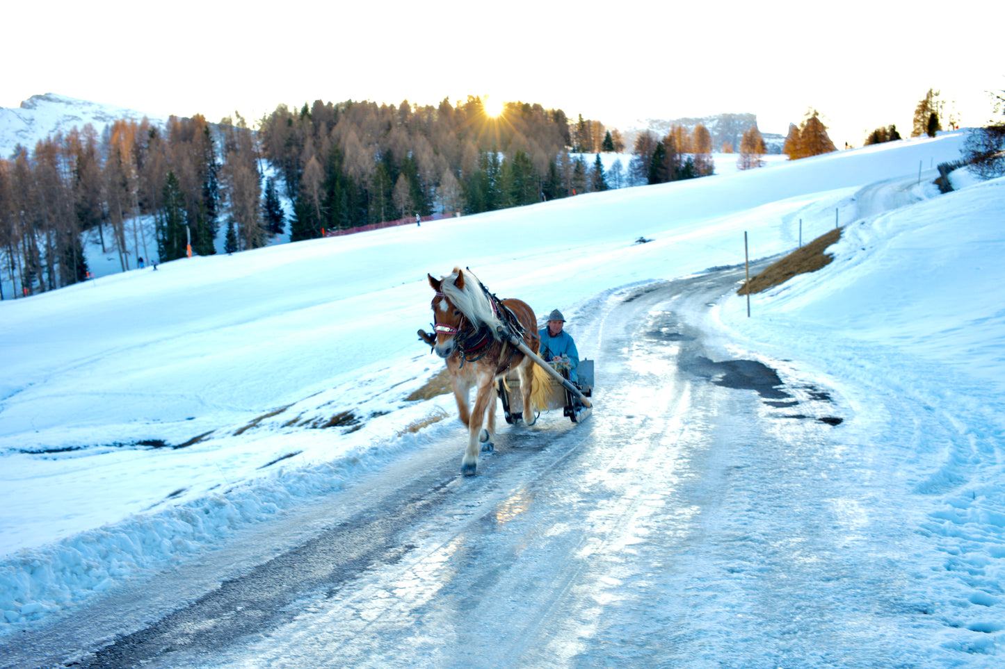 Dolomites Carriage
