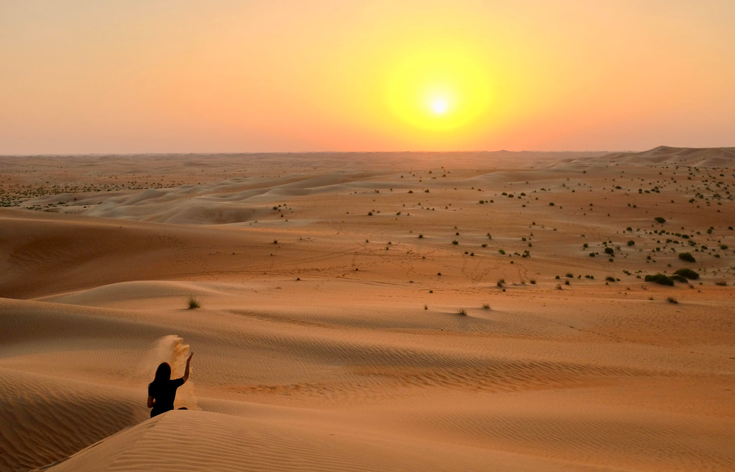 Abu Dhabi Desert