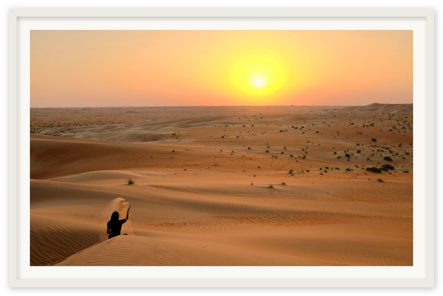Abu Dhabi Desert