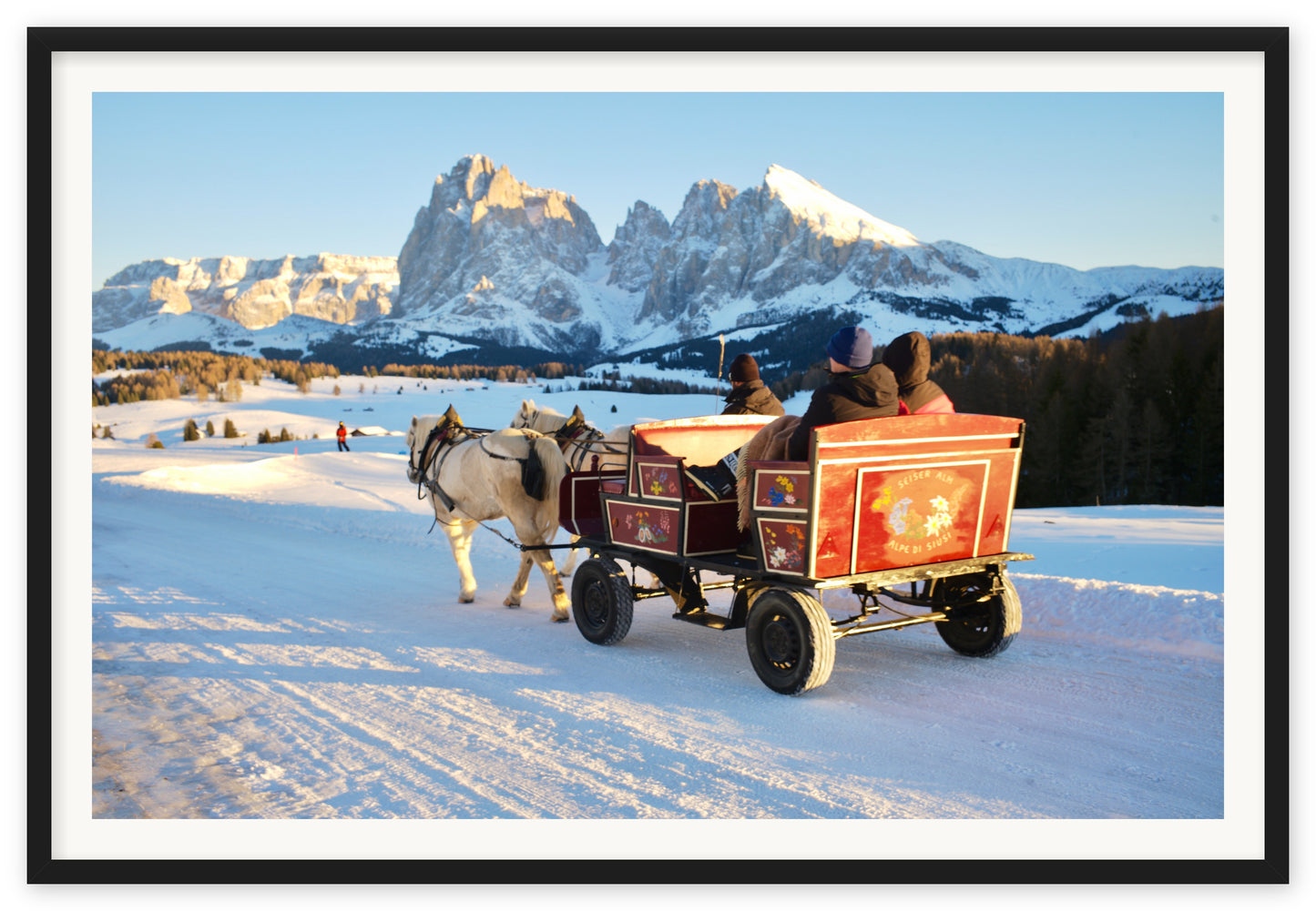 Carriage in the Dolomites