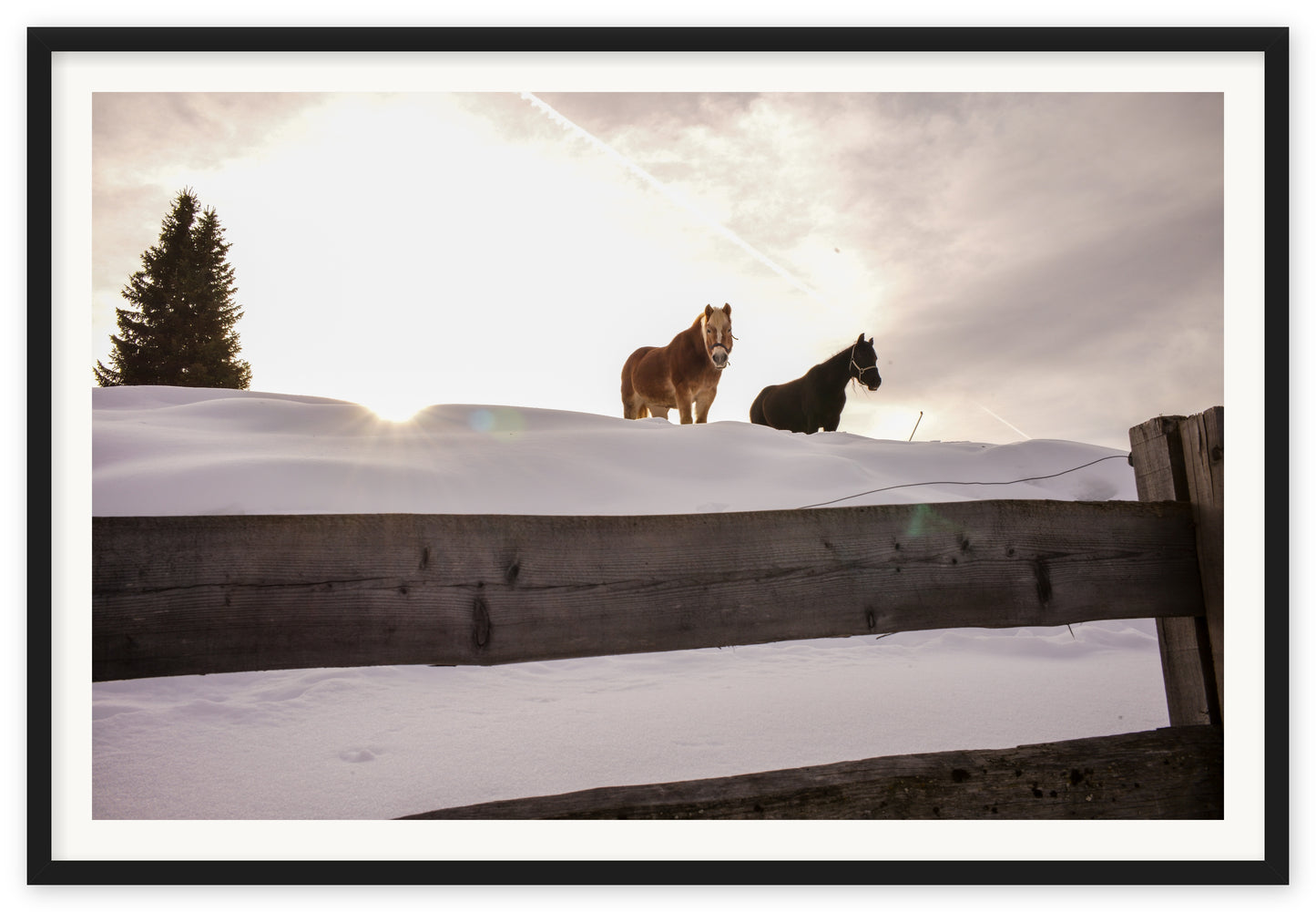 Dolomites Poneys