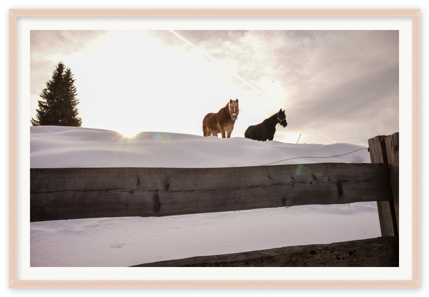 Dolomites Poneys
