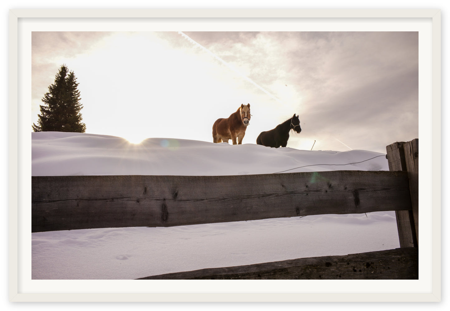 Dolomites Poneys